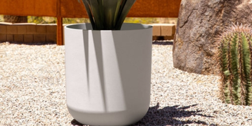 Flower Pot
