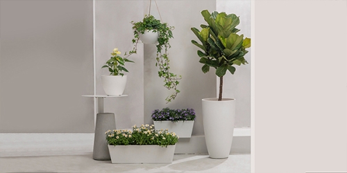 Flower Pot