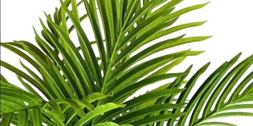 Artificial Plant