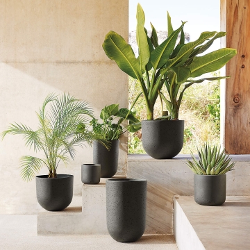Flower Pot