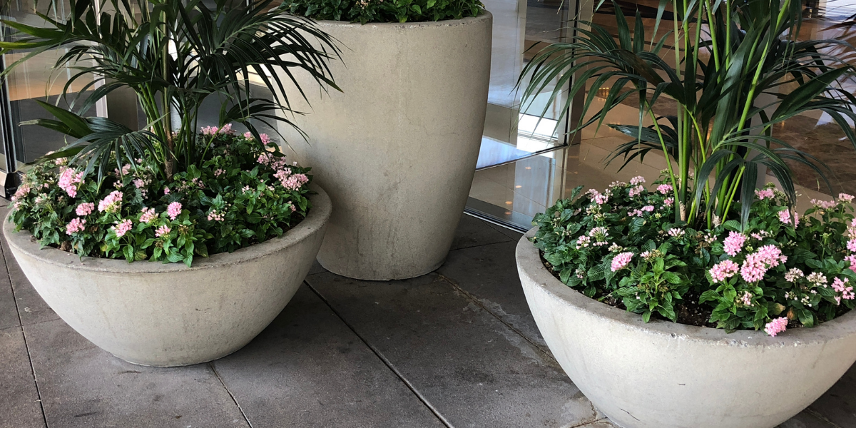 Outdoor Planters for Hotels, Patios & Pools